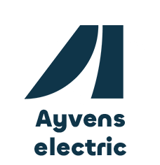 Ayvens Electric